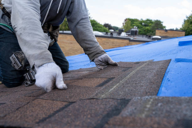 Best Metal Roofing Contractor  in Menasha, WI