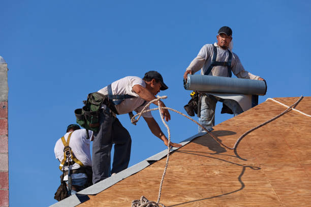Best New Roof Installation  in Menasha, WI